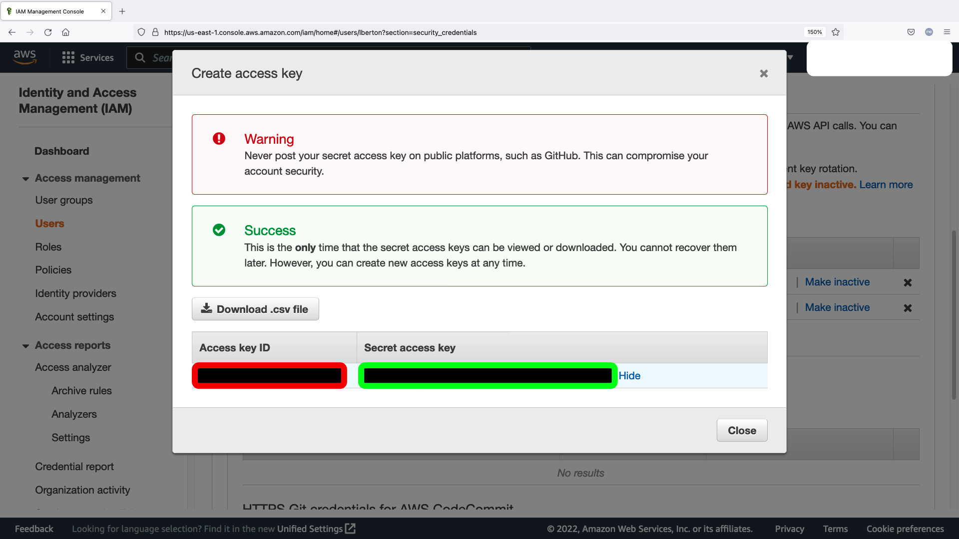 Amazon Identity and Access Management (IAM) Access Key