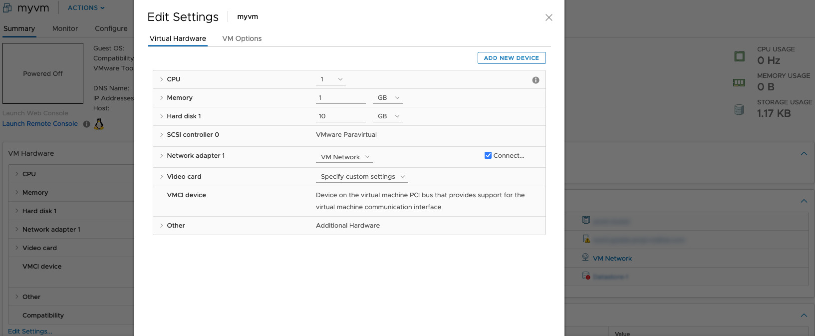 vmware_guest_disk before execution